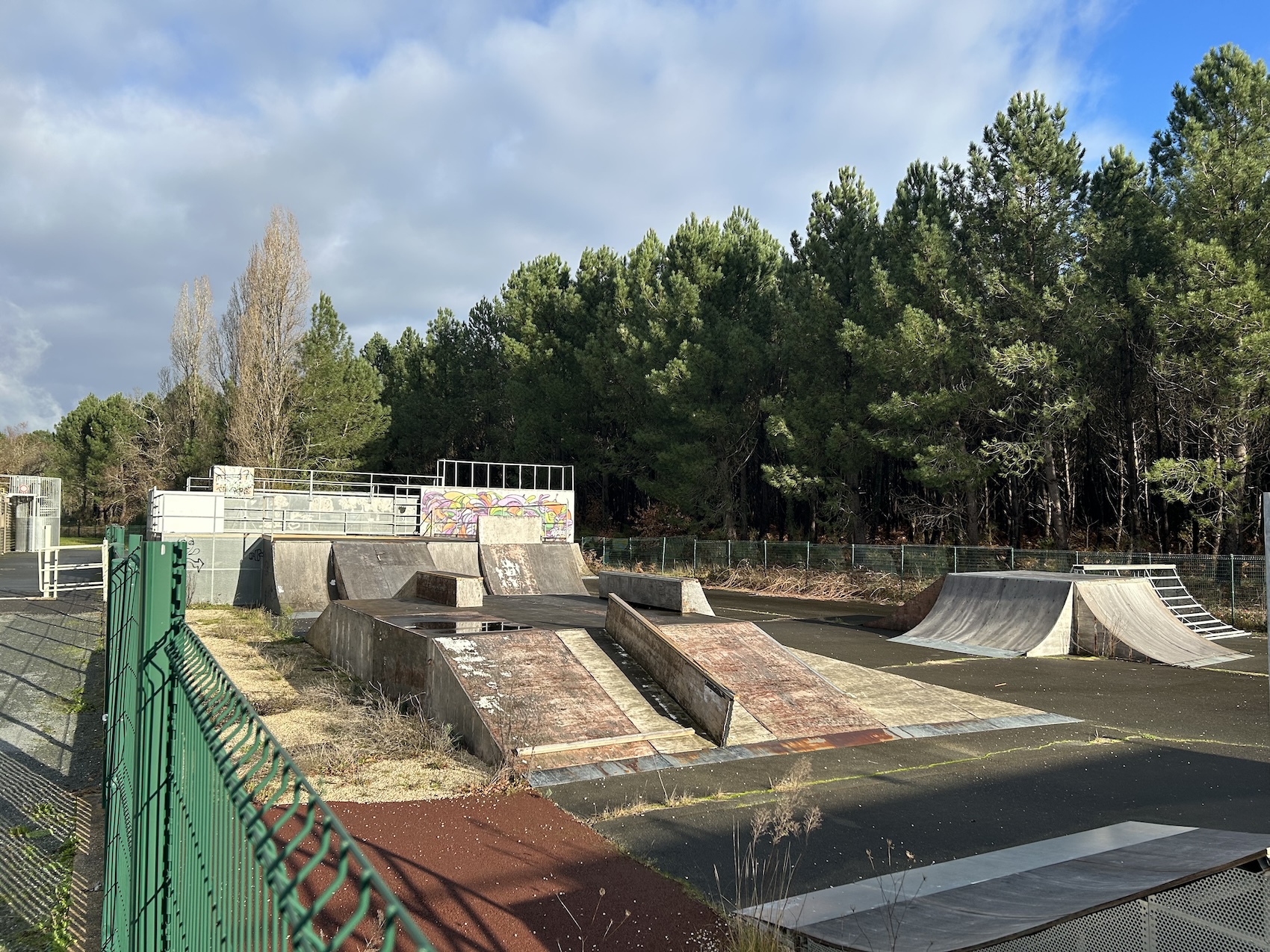 Cestas skatepark